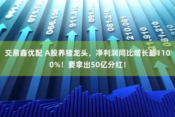 交易鑫优配 A股养猪龙头，净利润同比增长超1100%！要拿出50亿分红！