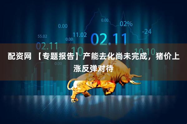 配资网 【专题报告】产能去化尚未完成，猪价上涨反弹对待