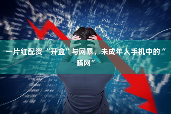 一片红配资 “开盒”与网暴,未成年人手机中的“暗网”